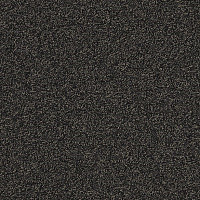 Ковровая плитка Interface Biosfera Boucle 7873 Nero Angola фото 1 | FLOORDEALER